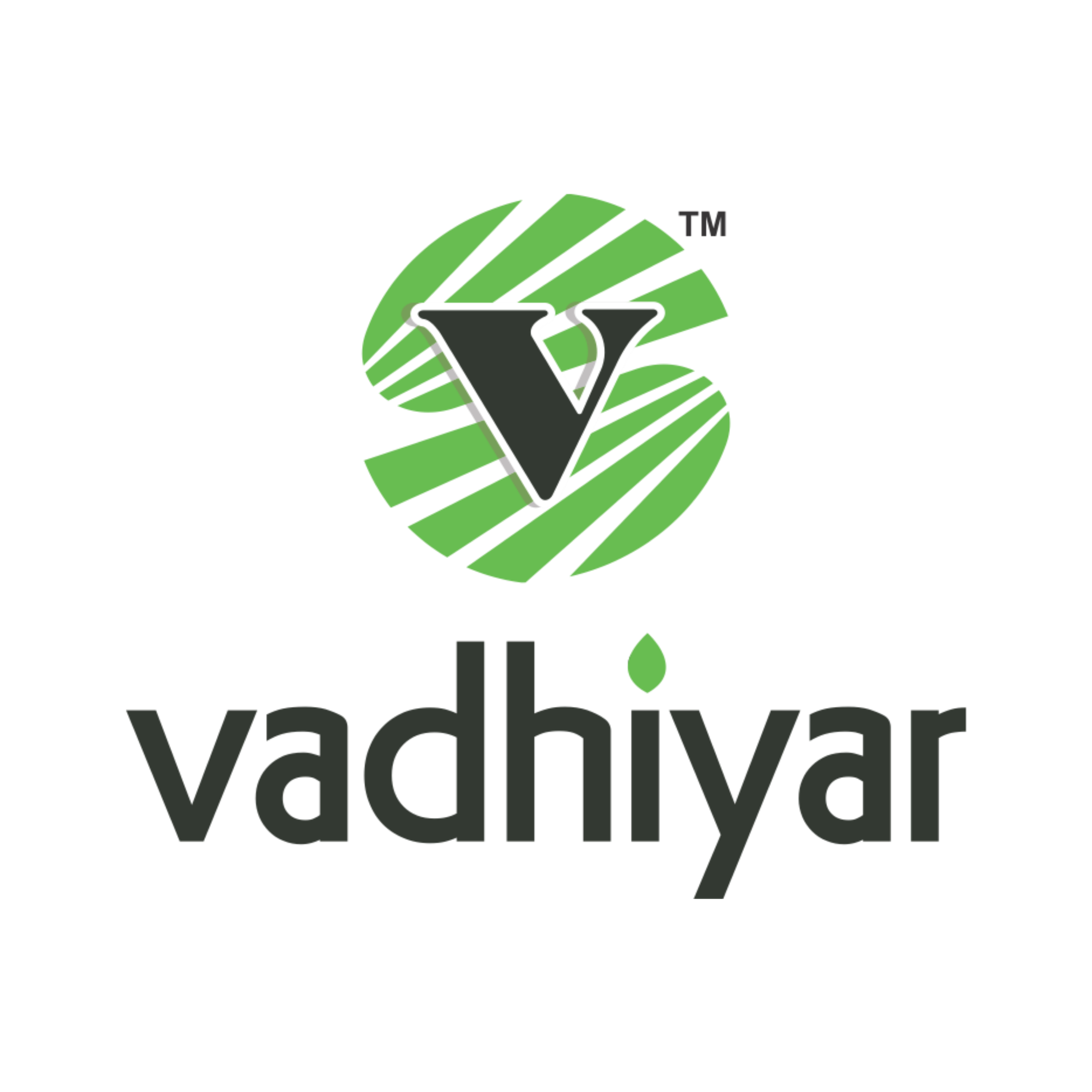 Vadhiyar Seeds
